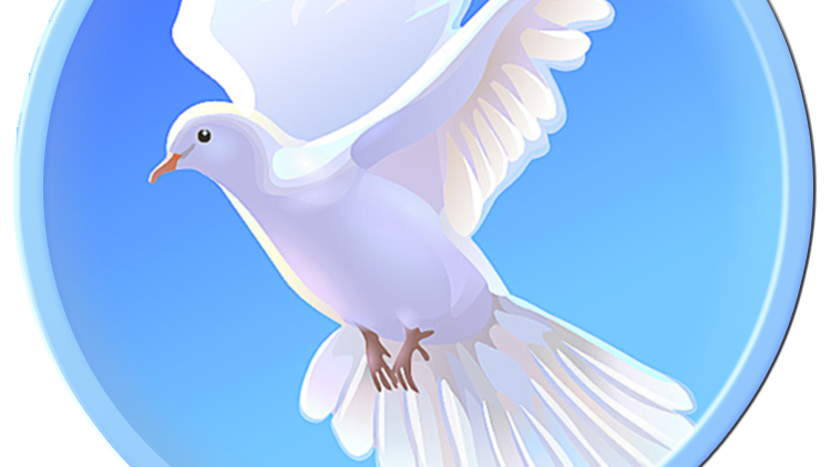 Символика организации